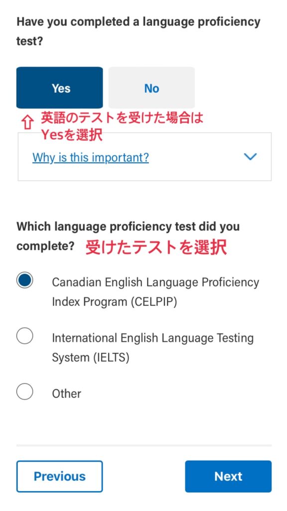 英語のテスト入力画面